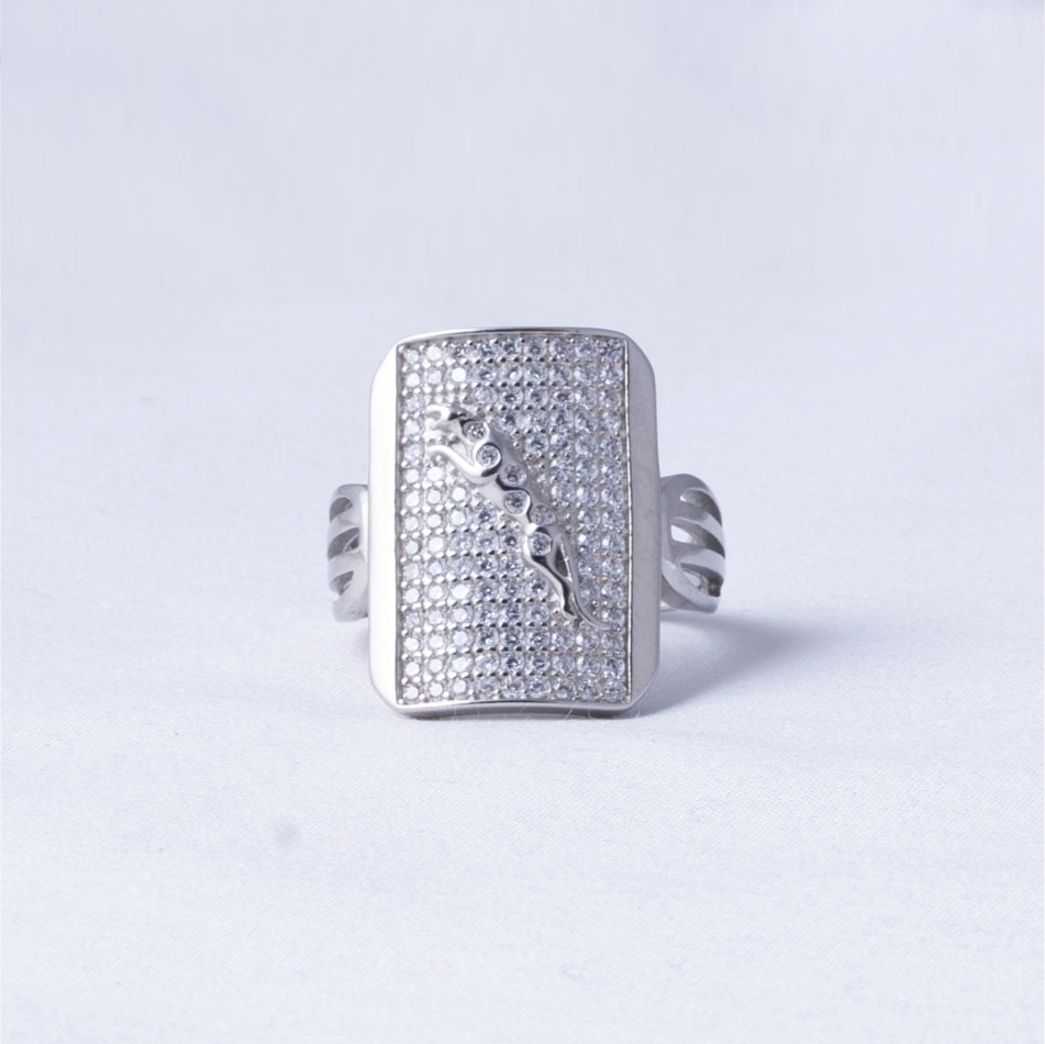 Rectangle CZ 925 Silver Ring